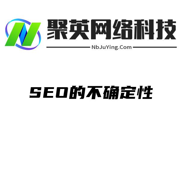 SEO的不确定性