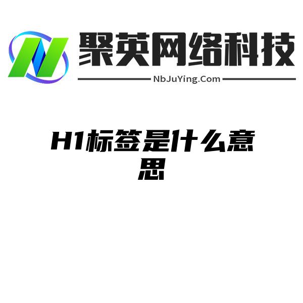 H1标签是什么意思