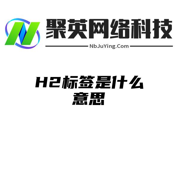 H2标签是什么意思