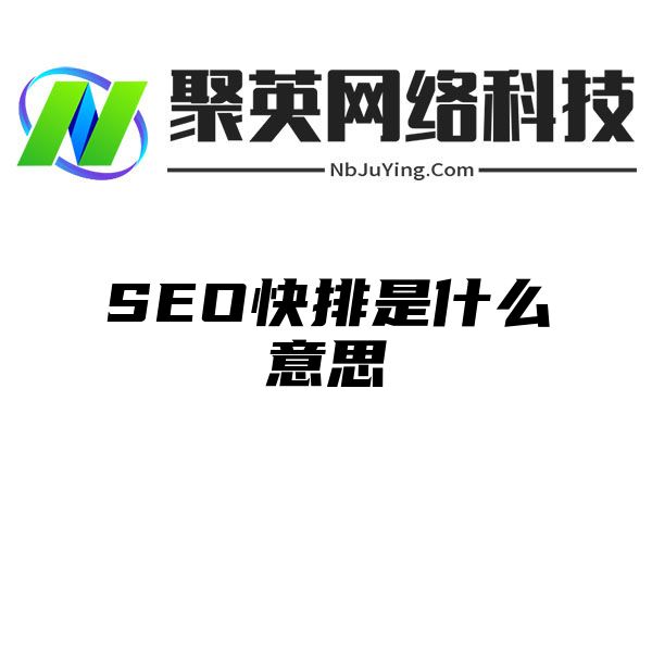 SEO快排是什么意思