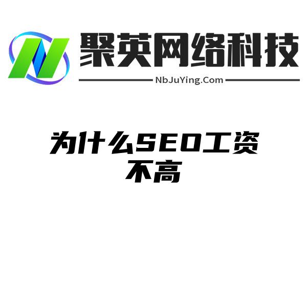 为什么SEO工资不高