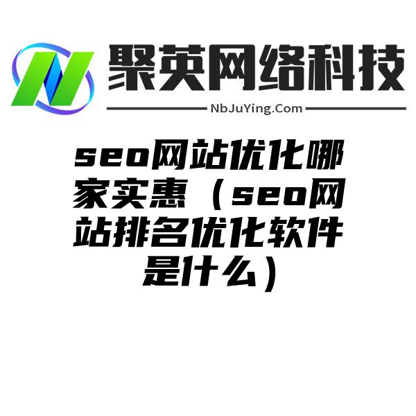 seo网站优化哪家实惠（seo网站排名优化软件是什么）