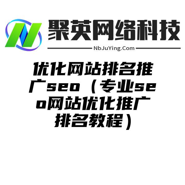 优化网站排名推广seo（专业seo网站优化推广排名教程）