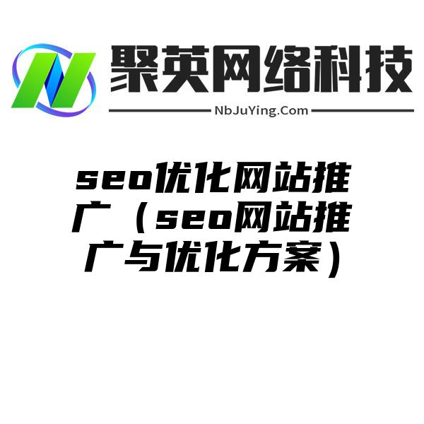 seo优化网站推广（seo网站推广与优化方案）