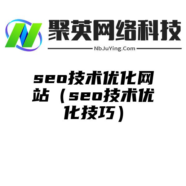 seo技术优化网站（seo技术优化技巧）