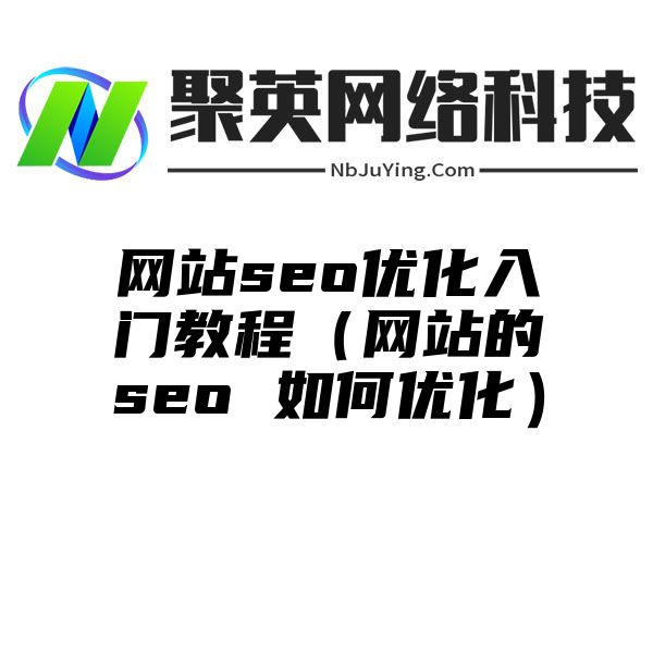 网站seo优化入门教程（网站的seo 如何优化）