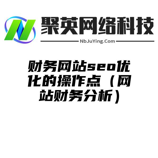 财务网站seo优化的操作点（网站财务分析）