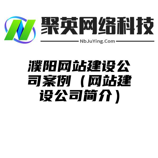 濮阳网站建设公司案例（网站建设公司简介）