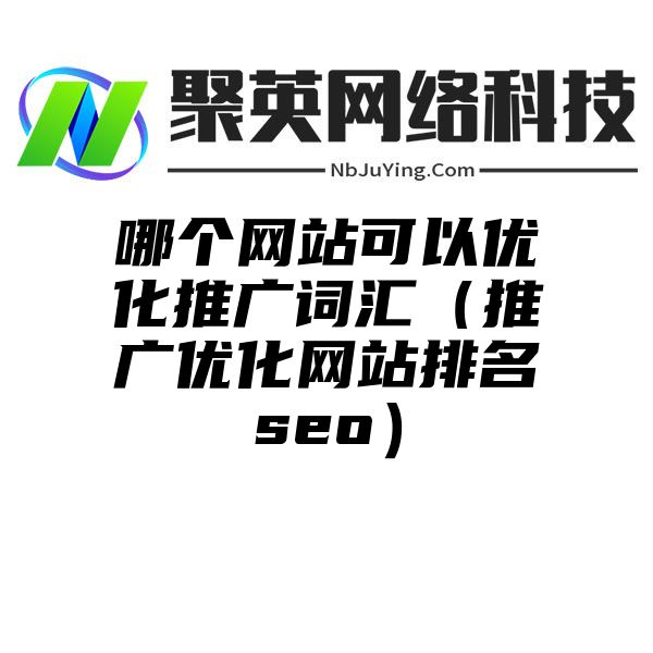 哪个网站可以优化推广词汇（推广优化网站排名seo）