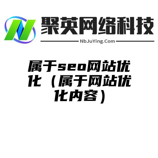 属于seo网站优化（属于网站优化内容）