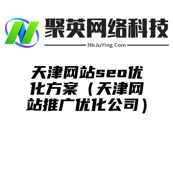 天津网站seo优化方案（天津网站推广优化公司）