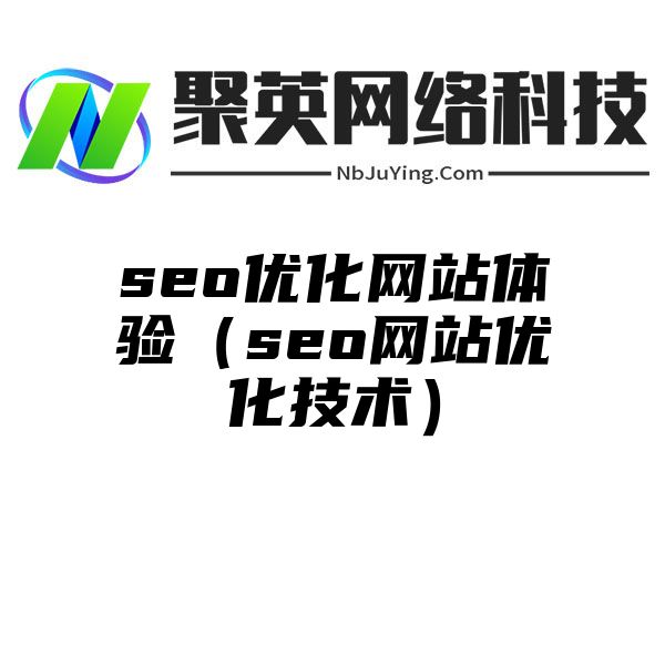 seo优化网站体验（seo网站优化技术）