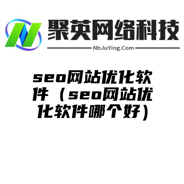 seo网站优化软件（seo网站优化软件哪个好）