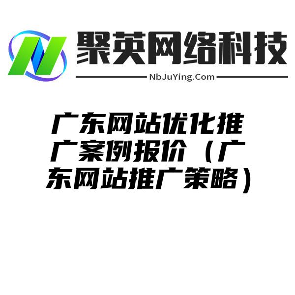 广东网站优化推广案例报价（广东网站推广策略）