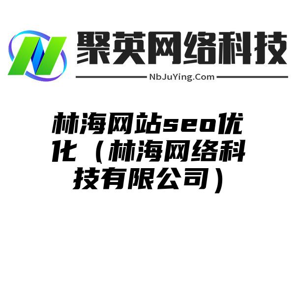 林海网站seo优化（林海网络科技有限公司）