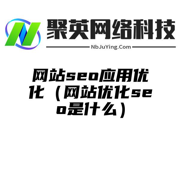 网站seo应用优化（网站优化seo是什么）