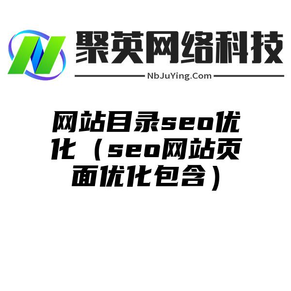 网站目录seo优化（seo网站页面优化包含）