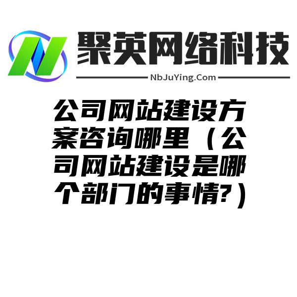 公司网站建设方案咨询哪里（公司网站建设是哪个部门的事情?）