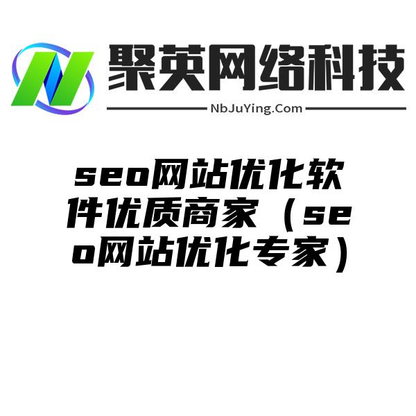 seo网站优化软件优质商家（seo网站优化专家）