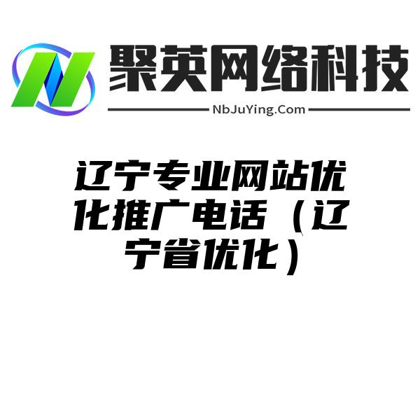 辽宁专业网站优化推广电话（辽宁省优化）