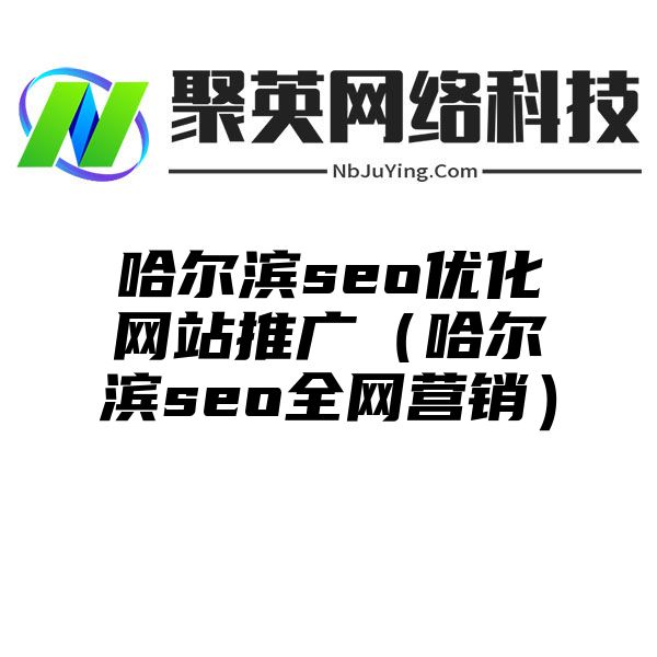 哈尔滨seo优化网站推广（哈尔滨seo全网营销）