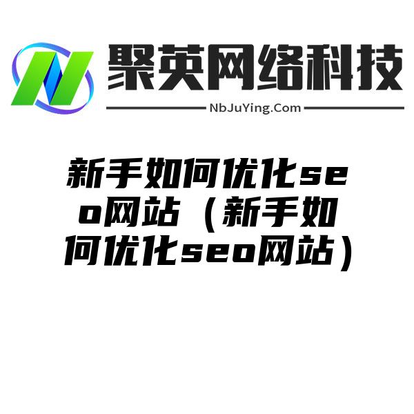 新手如何优化seo网站（新手如何优化seo网站）