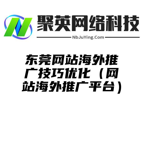 东莞网站海外推广技巧优化（网站海外推广平台）