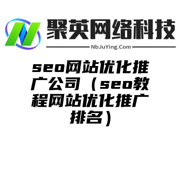 seo网站优化推广公司（seo教程网站优化推广排名）