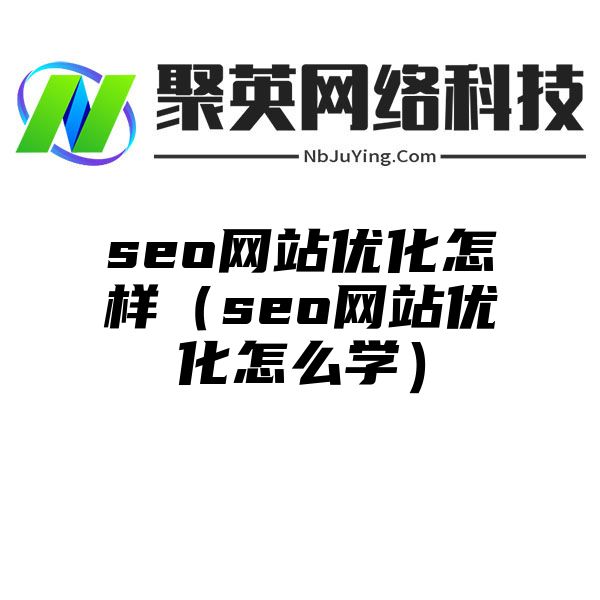 seo网站优化怎样（seo网站优化怎么学）