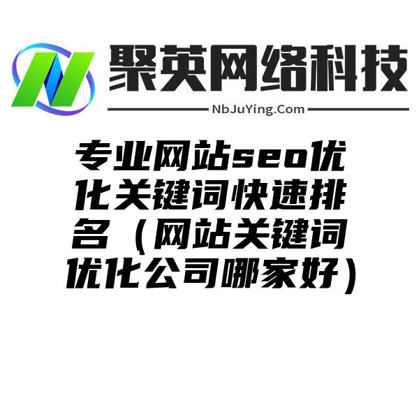 专业网站seo优化关键词快速排名（网站关键词优化公司哪家好）