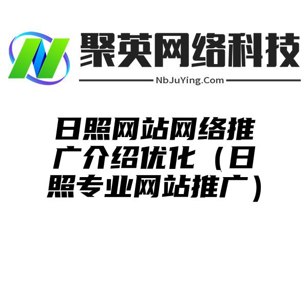 日照网站网络推广介绍优化（日照专业网站推广）