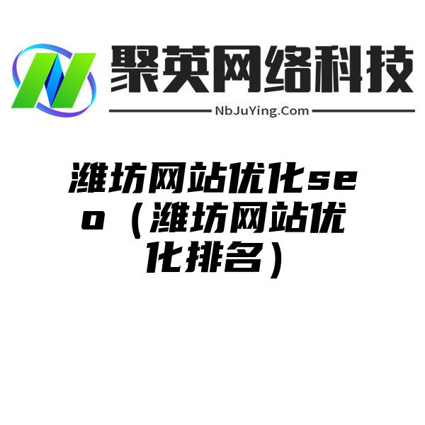 潍坊网站优化seo（潍坊网站优化排名）