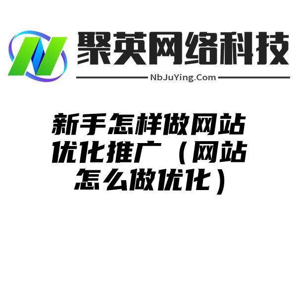 新手怎样做网站优化推广（网站怎么做优化）