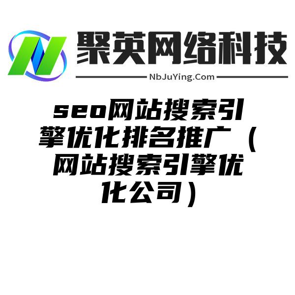 seo网站搜索引擎优化排名推广（网站搜索引擎优化公司）