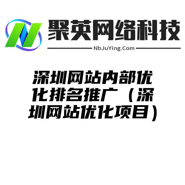 深圳网站内部优化排名推广（深圳网站优化项目）