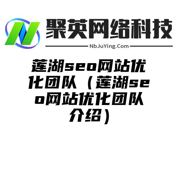 莲湖seo网站优化团队（莲湖seo网站优化团队介绍）