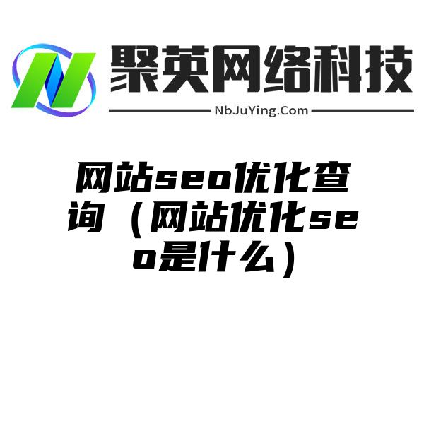 网站seo优化查询（网站优化seo是什么）