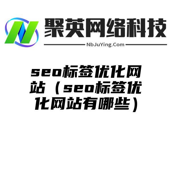 seo标签优化网站（seo标签优化网站有哪些）