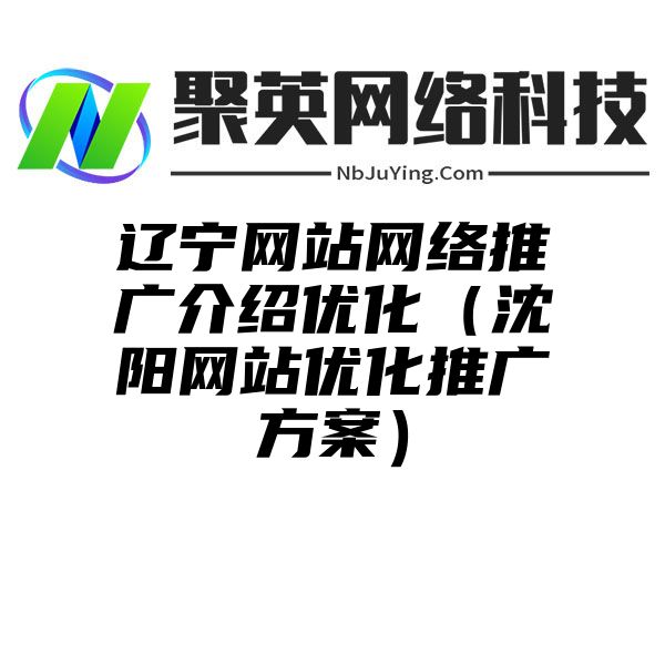 辽宁网站网络推广介绍优化（沈阳网站优化推广方案）