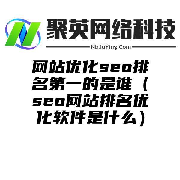 网站优化seo排名第一的是谁（seo网站排名优化软件是什么）