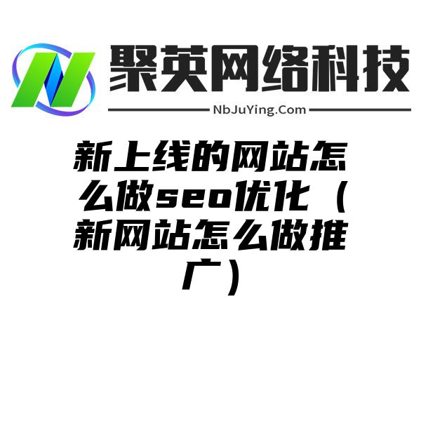 新上线的网站怎么做seo优化（新网站怎么做推广）