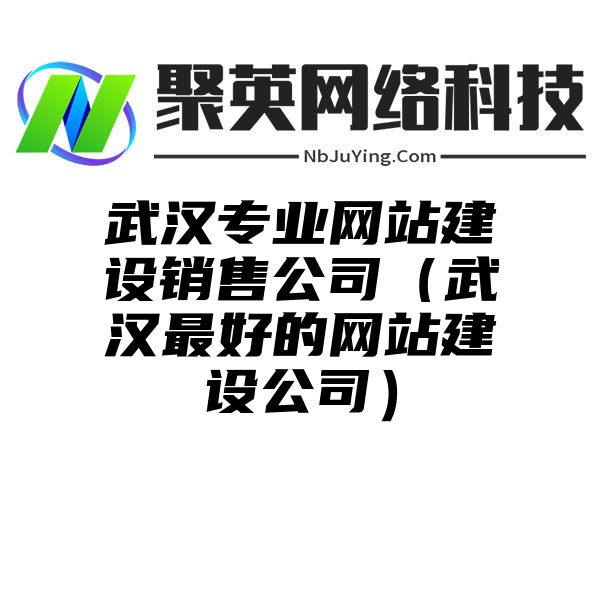 武汉专业网站建设销售公司（武汉最好的网站建设公司）