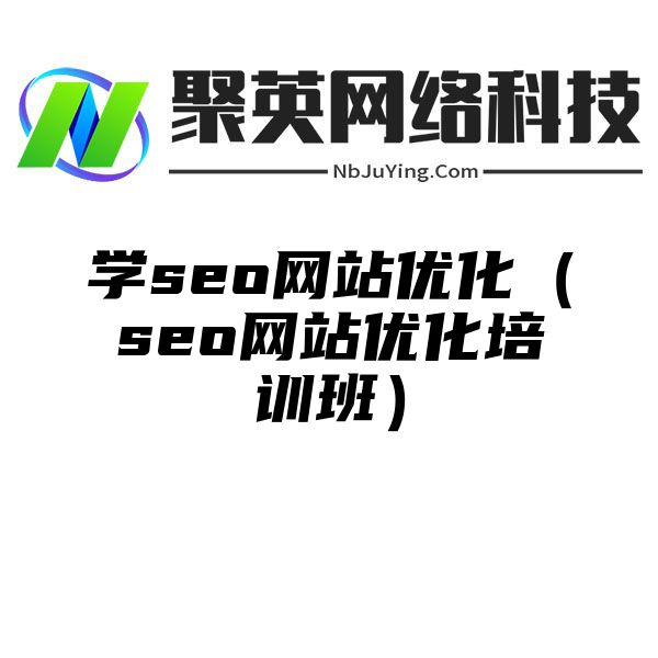 学seo网站优化（seo网站优化培训班）