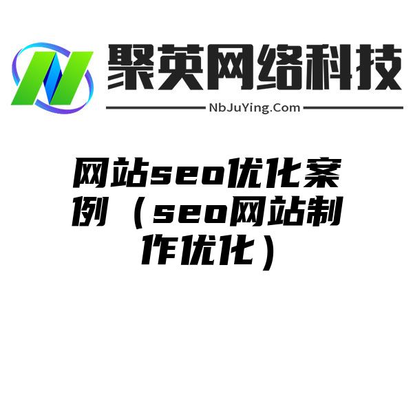 网站seo优化案例（seo网站制作优化）