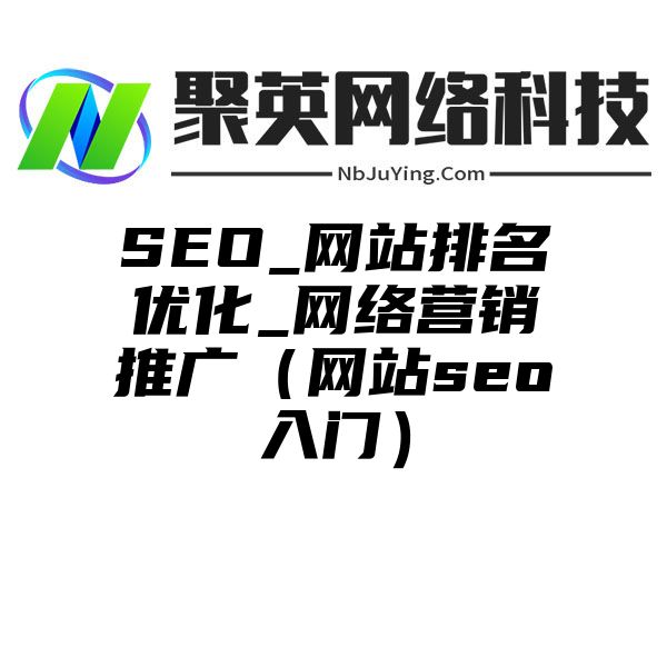 SEO_网站排名优化_网络营销推广（网站seo入门）