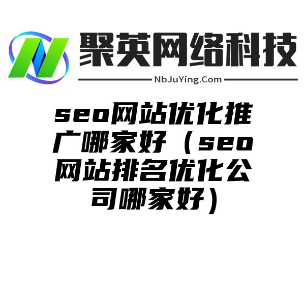 seo网站优化推广哪家好（seo网站排名优化公司哪家好）