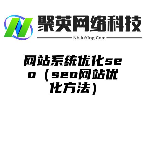 网站系统优化seo（seo网站优化方法）