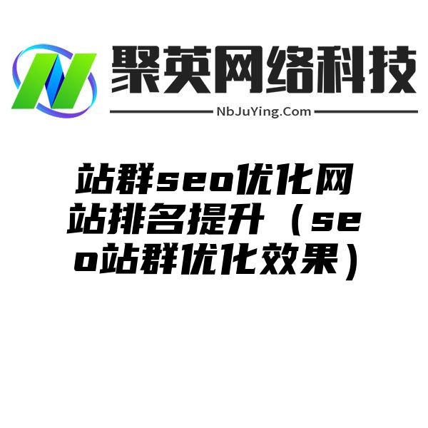 站群seo优化网站排名提升（seo站群优化效果）