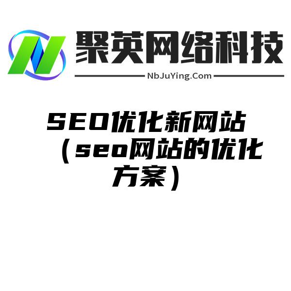 SEO优化新网站（seo网站的优化方案）