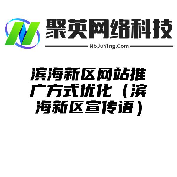 滨海新区网站推广方式优化（滨海新区宣传语）